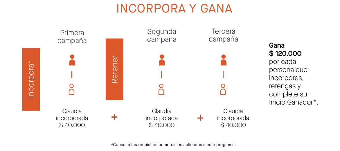 Flujo de incorporación
