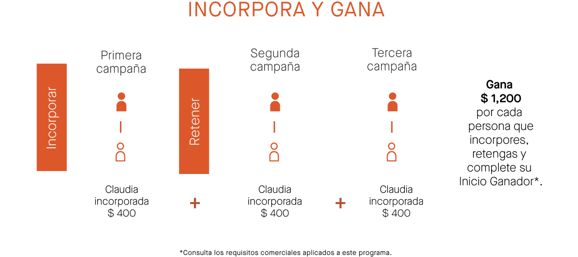 Flujo de incorporación